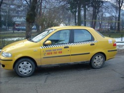 Етрополска фирма поема таксиметровите услуги в Общината